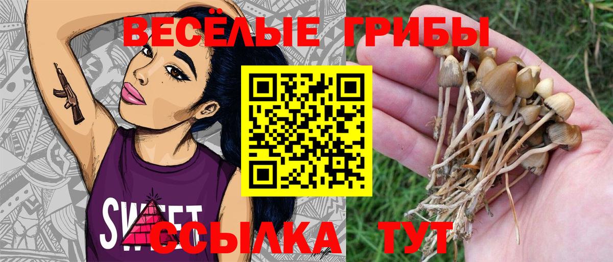 Галлюциногенные грибы Magic Shrooms Курганинск