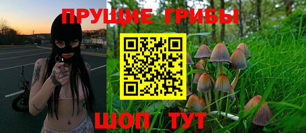 Псилоцибиновые грибы мухоморы  Псилоцибиновые грибы GOLDEN TEACHER  Вход с VPN  Курганинск 